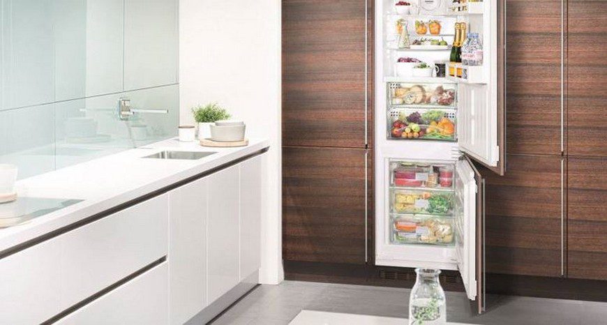 Габариты и размеры различных моделей холодильников