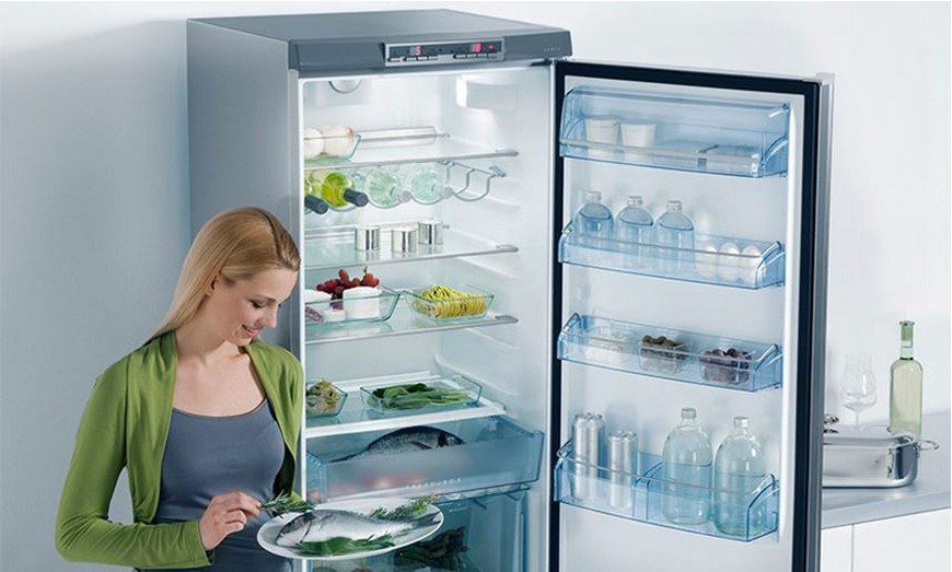 Выбираем холодильник с No Frost