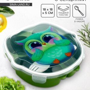 Небольшой зеленый ланч-бокс с прозрачной крышкой, рисунком совы и ложкой внутри, сделанным из пищевого пластика