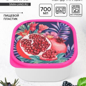 Ланч бокс маленький герметичный 700 мл FoodVibes для СВЧ, прочный и стильный