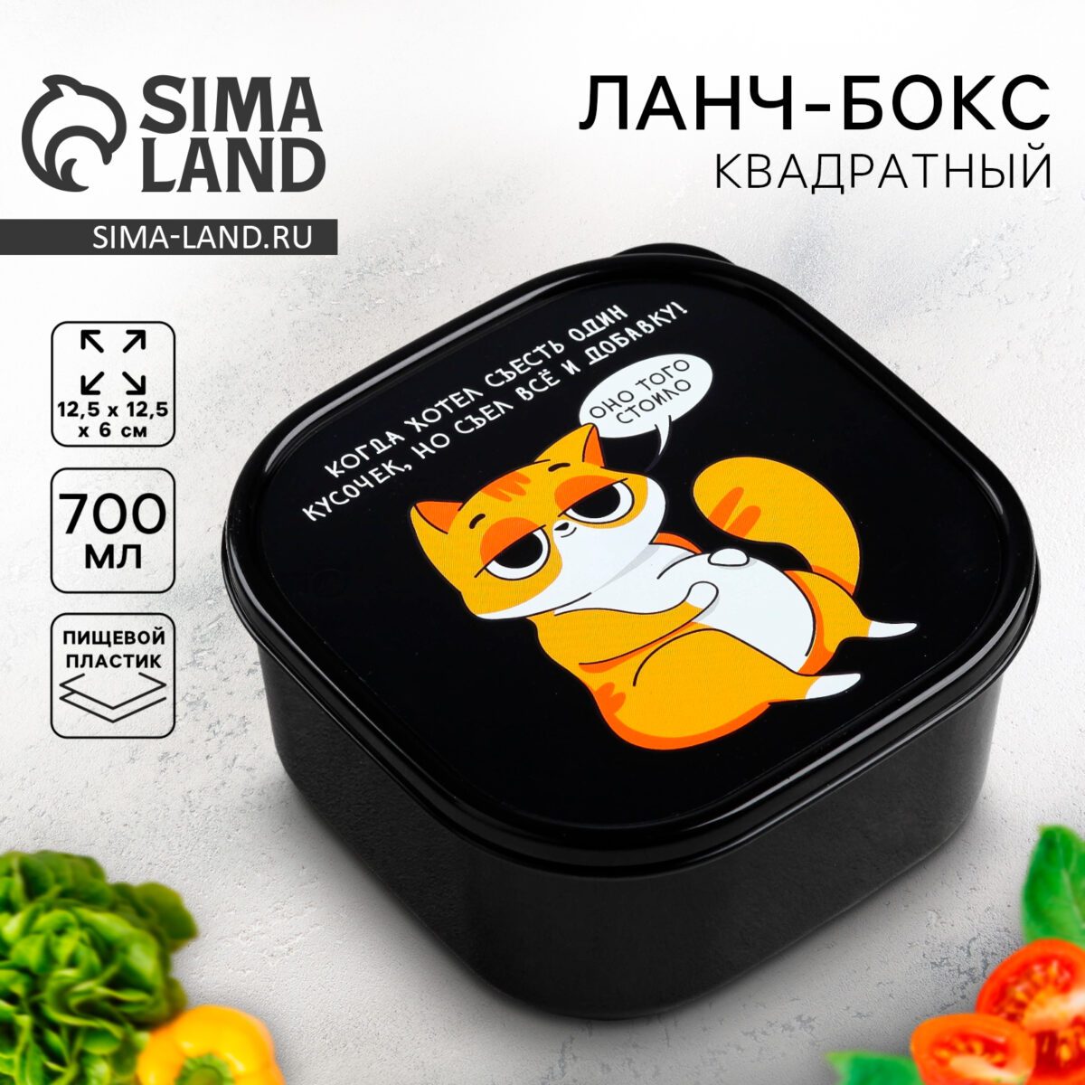 Квадратный ланч-бокс из пищевого пластика с изображением оранжевого кота и надписью для хранения и перевозки еды