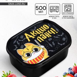 Ланч-бокс прямоугольной формы объемом 500 мл с изображением кота с очками, подходит для разогрева и мытья в посудомоечной машине