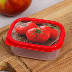 Прямоугольный ланч-бокс из пищевого пластика объемом 150 мл с крышкой красного цвета и изображением томатов