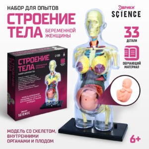 Изображение не может быть описано из-за отсутствия данных